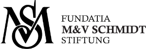 cropped-logo_MVS-1.png